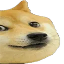 doge2