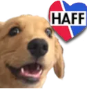 :woweehaff: