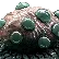 wallsack wallsack