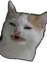 BananaCat