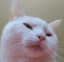 Displeased