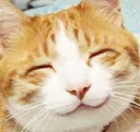 UwU