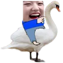 wonswan