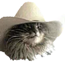 meowdy