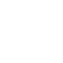 b1