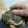 frogpet
