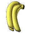 bananarotat_fastest