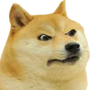 MG_DOGE3 Discord Emoji