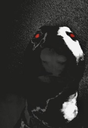 evilwalter Discord emoji