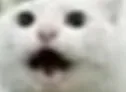 MakinthatFaceAgain