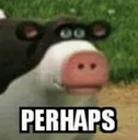 Perhaps