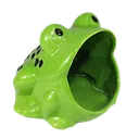 FrogPog FrogPog