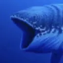 Pogfish Pogfish