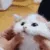 squish