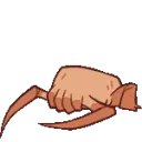 sleepcrab