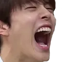kangscream