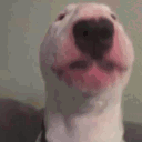 vibingwalter Discord emoji