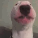 vibingwalter