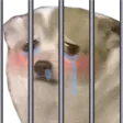 chiwaJail