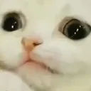 concerned