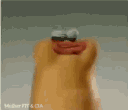 idiot Discord emoji