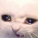 AAAAAAAA AAAAAAAA