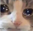Bro