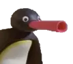 Pingu