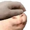 AngeryCatRub