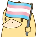 ducktransflag