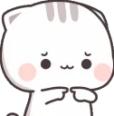kittyshy