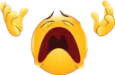 crisis crisis