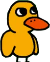 R_Duck