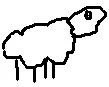 sheep