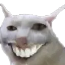 Happycat happycat Discord Emoji