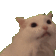 meow