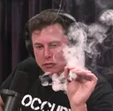 thinkingelon Discord Emoji