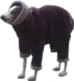 SCSWEATERDOG SCSWEATERDOG