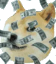 doge_money doge_money
