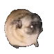 happydoggo
