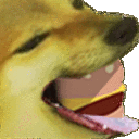 DogeBurger