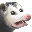 2902_opossum