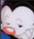 YAKKO