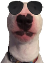 shadywalter Discord emoji
