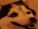 wat