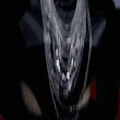 aLisaHYLT