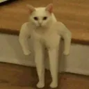 chatbizarre2