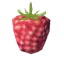 raspberry