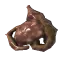 entrails