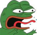 pepe_mad